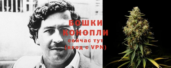 MESCALINE Вяземский
