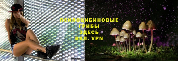 MESCALINE Вяземский