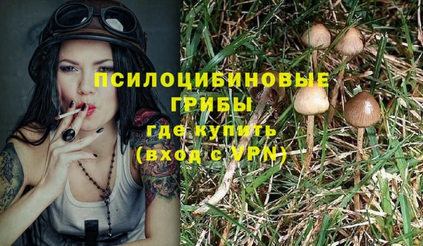 MESCALINE Вяземский