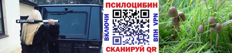 Купить где Верхнеуральск Псилоцибиновые грибы ЛСД